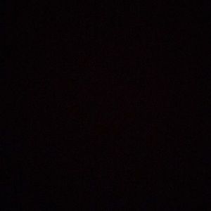 Meet your Posher, Daniela